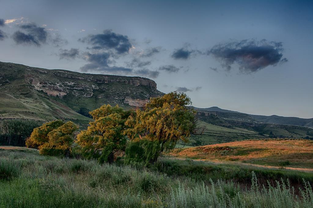 Villa De Molen Farm Clarens Exterior foto